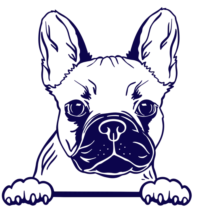 Reliable Puppy Breeders in the USA